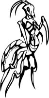 insect-decal-pi_026