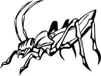 insect-decal-pi_027
