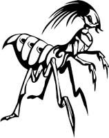 insect-decal-pi_028