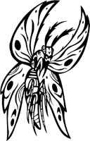 insect-decal-pi_032