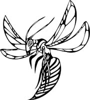 insect-decal-pi_034