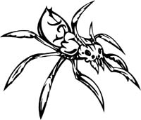 insect-decal-pi_035