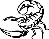 insect-decal-pi_040