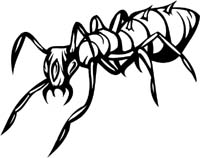 insect-decal-pi_041