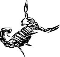 insect-decal-pi_042