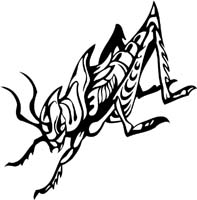 insect-decal-pi_043
