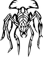 insect-decal-pi_044