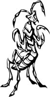 insect-decal-pi_046