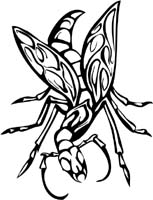 insect-decal-pi_047