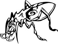 insect-decal-pi_048