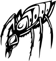 insect-decal-pi_049