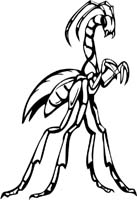 insect-decal-pi_050