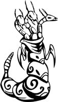 insect-decal-pi_051