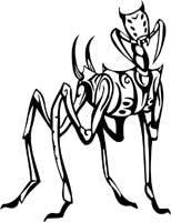 insect-decal-pi_053
