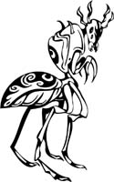 insect-decal-pi_054