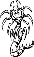 insect-decal-pi_055