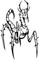 insect-decal-pi_056