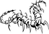 insect-decal-pi_059
