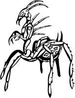 insect-decal-pi_060