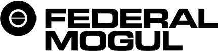 Federal Mogul Graphic Logo Decal