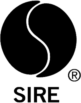 SIRE RECORDS Graphic Logo Decal