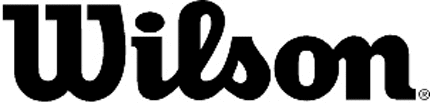 WILSON Graphic Logo Decal