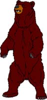Bear 2