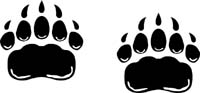 Bear Paws