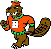 Beaver 1