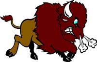 Bison 1