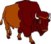 Bison 3