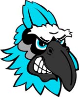 Blue Jay  Head 3