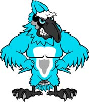 Blue Jay 3