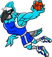 Blue Jay Basketball