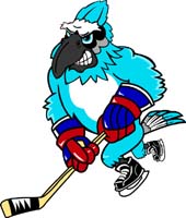 Blue Jay Hockey