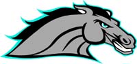 Bronco 1