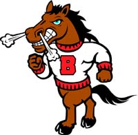 Bronco 2