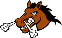Bronco Head 2
