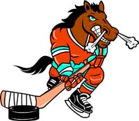 Bronco Hockey