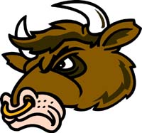 Bull 1 Head