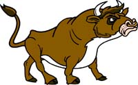 Bull 1