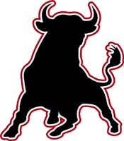 Bull 2