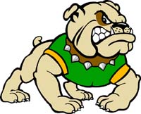 Bull Dog 1