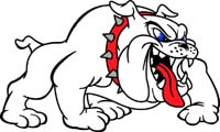 Bull Dog 2