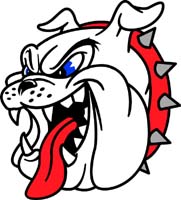 Bull Dog Head 2