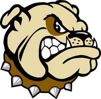 Bull dog head 1