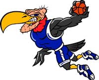 Buzzard Basketball