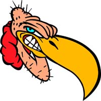 Buzzard Head
