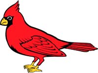 Cardinal 1