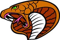 Cobra Head